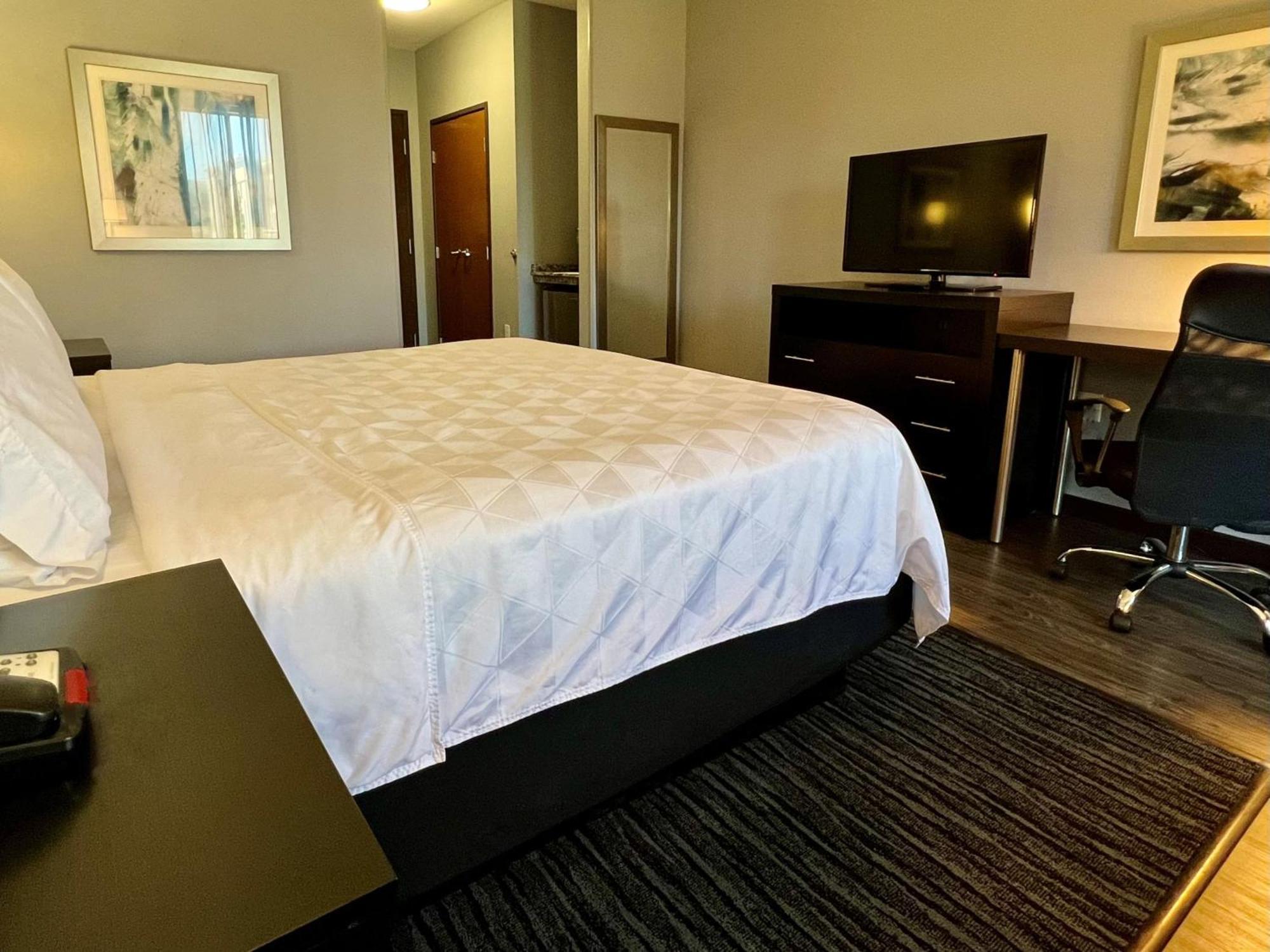 Holiday Inn Carlsbad/San Diego By Ihg Buitenkant foto